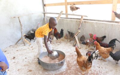New Chicken Coop at the Orphanage