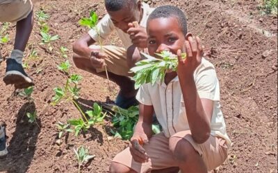 Growing Minds & Meals